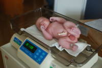 dsc_5454.jpg Another big baby!