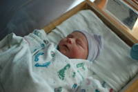 dsc_5524.jpg Snug as a bug in a rug.