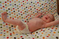 dsc_2134.jpg Click for the rest of this set