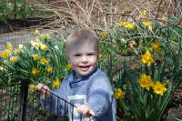 dsc_7352.jpg Click for the rest of this set