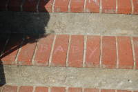 dsc_5771.jpg ...Baby...