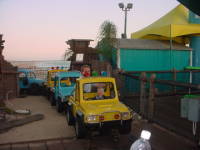 dsc01232.jpg Devin's first carnival ride.  Thanks to Becky on the spot with the camera.