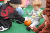 dsc_3350.jpg Devin tried to take the pumkin from his friend Adam.