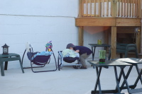 dsc_4782.jpg Eamon checks up on them for us