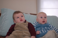 dsc_0082.jpg All dressed up, ready to go out.