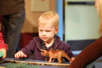 dsc_6698.jpg At the Palo Alto Junior Museum & Zoo.  Thanks to Yatish for loaning the lens!