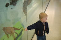 dsc_7392.jpg No, really, did you check this out?