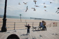 dsc_8480.jpg Little did Devin know how the french fry in his hand holds total control over the birds.