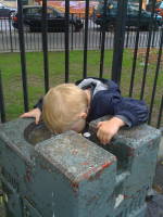 img_0159.jpg Once again, Devin demonstrates his love of water (don't worry, it's fresh).