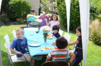 dsc_6914.jpg Our last backyard party.