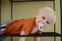 dsc_5328.jpg Grant loves to hang out under the table.