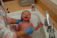 dsc_1786.jpg Devin did not like his first bath.