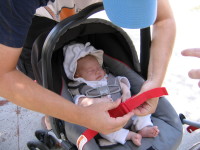 img_0170.jpg Devin gets strapped in for his first venture out of the house - the farmer's market.