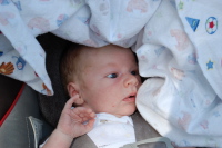 DSC_2483.jpg Devin wipes off his spit-up with the nearest cloth.